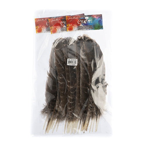 Turkey Quill Barred  10pcs Left & Right