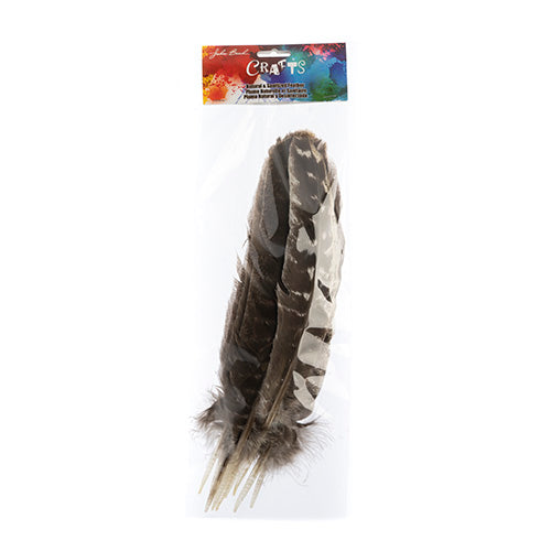 Turkey Quill Barred  10pcs Left & Right