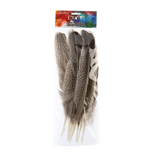 Imitation Bald Eagle Tail Feather 10pcs 8-12in