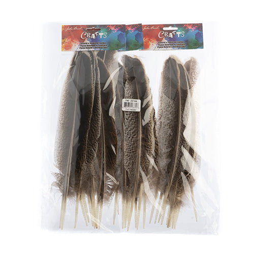 Imitation Bald Eagle Tail Feather 10pcs 8-12in