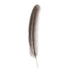 Imitation Bald Eagle Tail Feather 10pcs 8-12in
