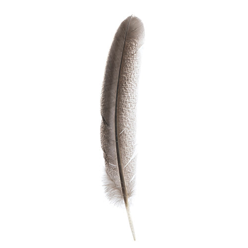 Imitation Bald Eagle Tail Feather 10pcs 8-12in