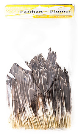 Goose Feather 7in Natural Bulk