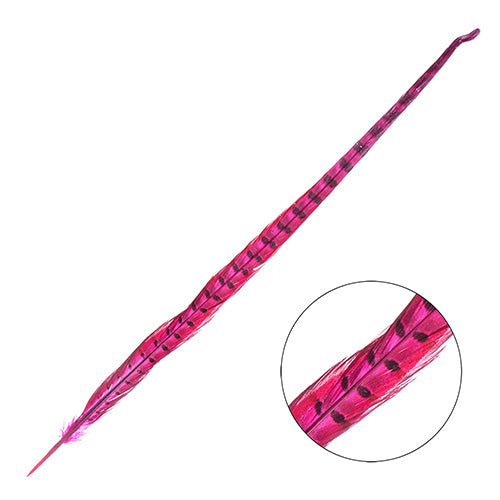 Ringneck Pheasant Tail 18-20in (3pcs) Dyed