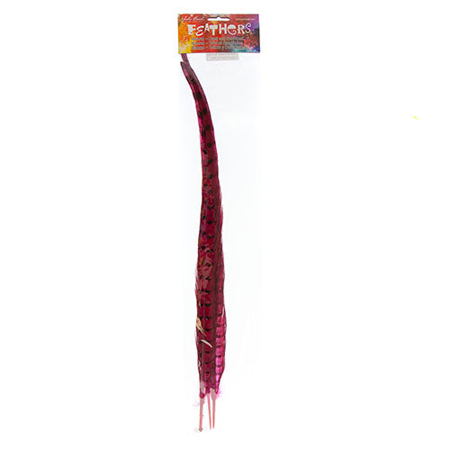 Ringneck Pheasant Tail 18-20in (3pcs) Dyed 