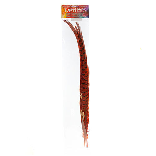 Ringneck Pheasant Tail 18-20in (3pcs) Dyed 