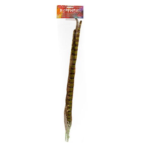 Ringneck Pheasant Tail 18-20in (3pcs) Dyed 