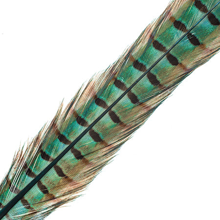 Ringneck Pheasant Tail 18-20in (3pcs) Dyed 