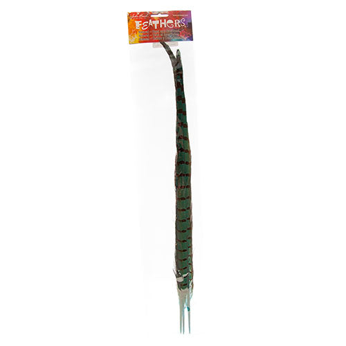 Ringneck Pheasant Tail 18-20in (3pcs) Dyed 