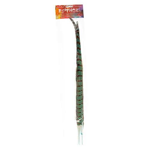 Ringneck Pheasant Tail 18-20in (3pcs) Dyed 