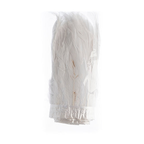 Coque Feathers Value 8-10in 1yd 