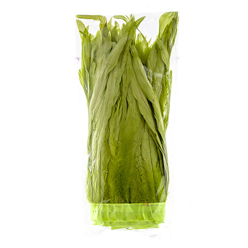 Coque Feathers Value 8-10in 1yd 