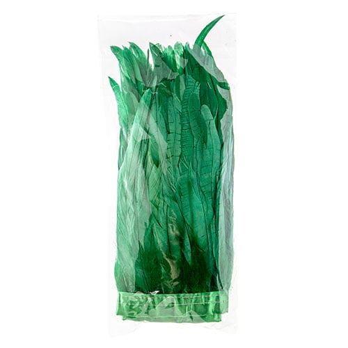 Coque Feathers Value 8-10in 1yd 