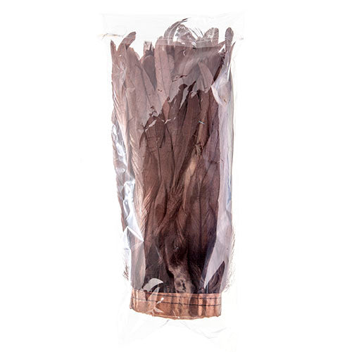 Coque Feathers Value 8-10in 1yd 
