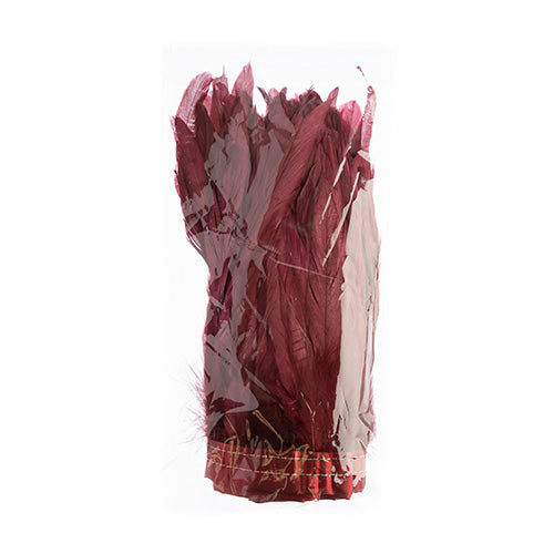 Coque Feathers Value 8-10in 1yd 