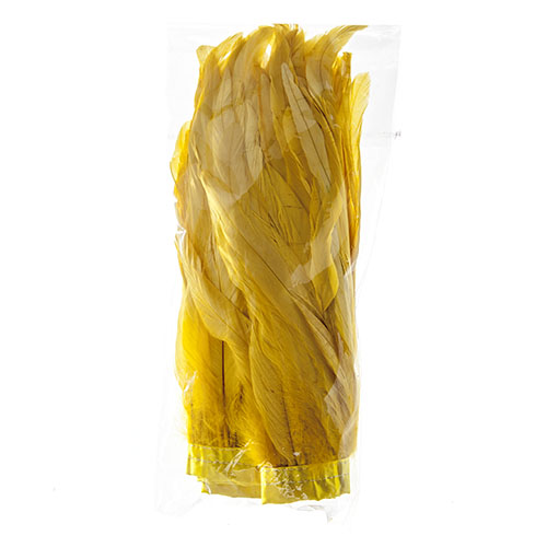 Coque Feathers Value 10-12in 1yd 