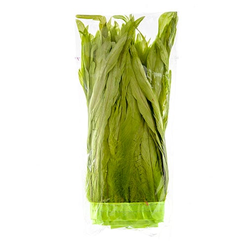 Coque Feathers Value 10-12in 1yd 