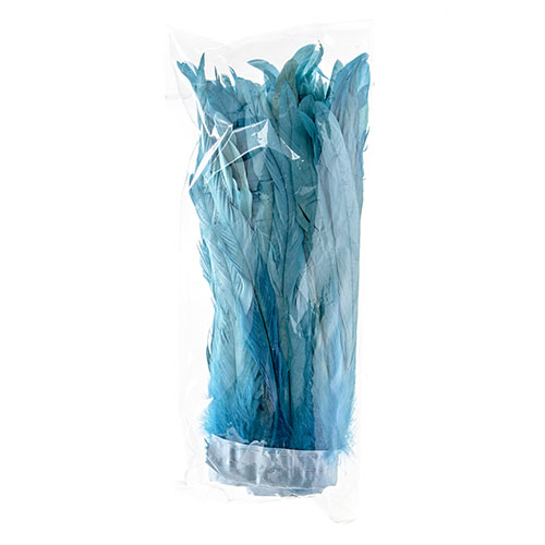 Coque Feathers Value 10-12in 1yd 