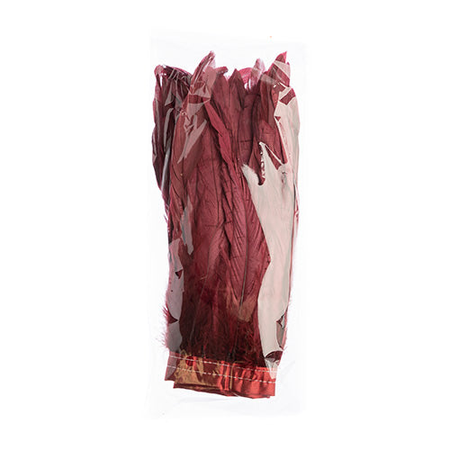 Coque Feathers Value 10-12in 1yd 