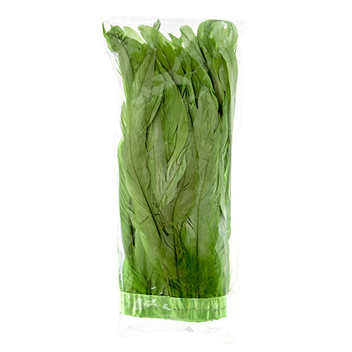 Coque Feathers Value 12-14in 1yd 
