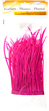 Goose Feather Biots Strung 6-8in 30g  (22in)