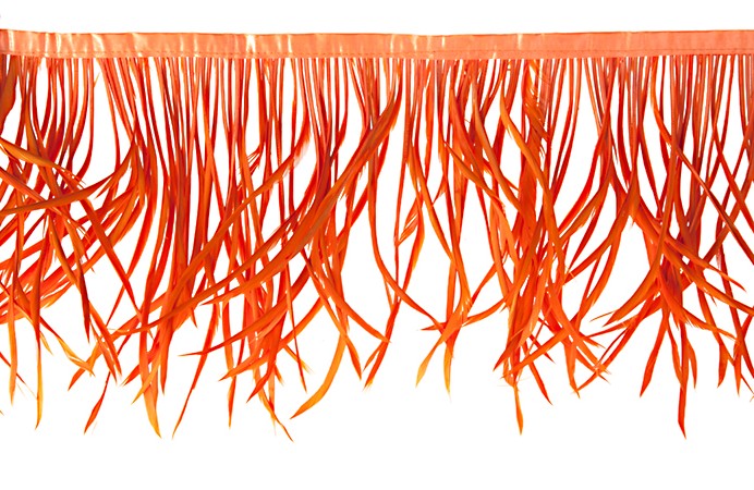 Goose Feather Biots Strung 6-8in 30g  (22in)