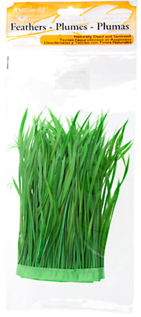 Goose Feather Biots Strung 6-8in 30g  (22in)