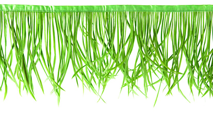 Goose Feather Biots Strung 6-8in 30g  (22in)