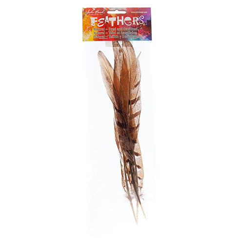 Reeves Pheasant Tail Natural