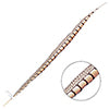 Lady Amherst Pheasant Feather Side (1pc) 