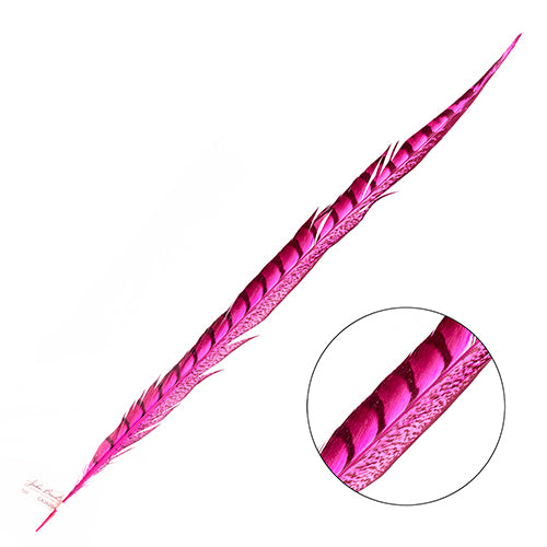 Lady Amherst Pheasant Feather Side (1pc)