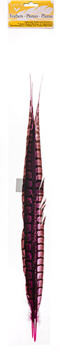 Lady Amherst Pheasant Feather Side (1pc) 