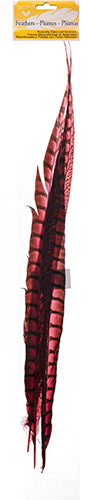 Lady Amherst Pheasant Feather Side (1pc) 