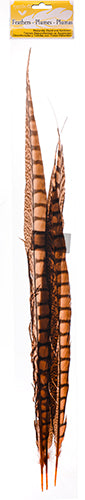Lady Amherst Pheasant Feather Side (1pc) 