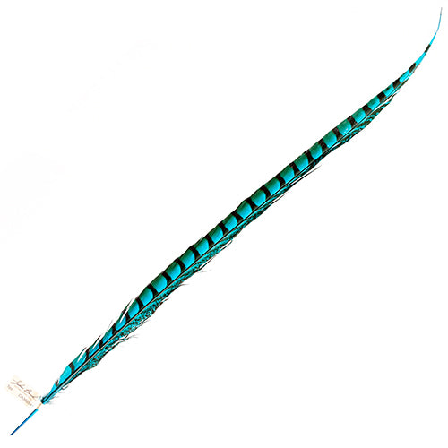Lady Amherst Pheasant Feather Side (1pc) 