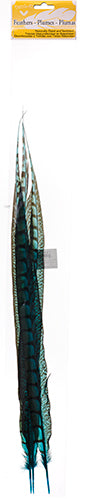 Lady Amherst Pheasant Feather Side (1pc) 