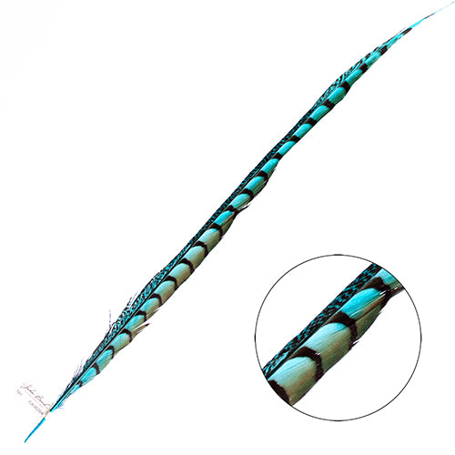 Lady Amherst Pheasant Feather Side (1pc)