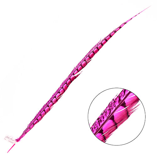 Lady Amherst Pheasant Feather Side (1pc)