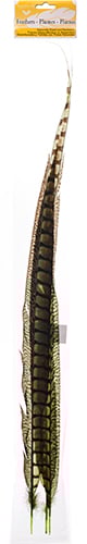 Lady Amherst Pheasant Feather Side (1pc) 