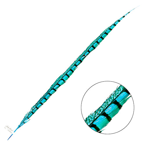 Lady Amherst Pheasant Feather Side (1pc)