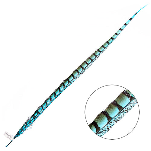 Lady Amherst Pheasant Feather Side (1pc)