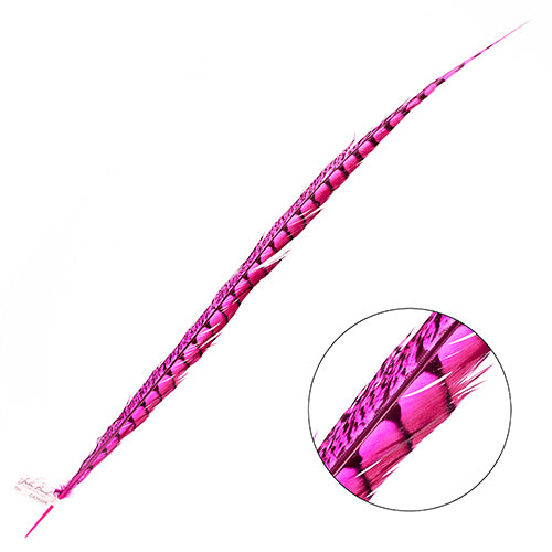 Lady Amherst Pheasant Feather Side (1pc)