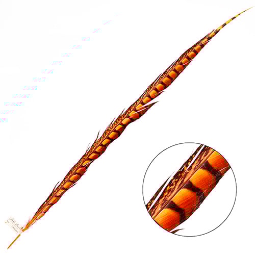 Lady Amherst Pheasant Feather Side (1pc)