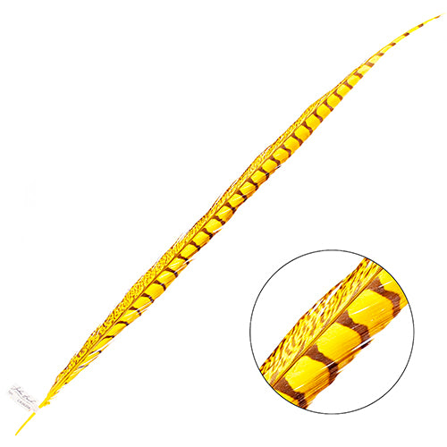 Lady Amherst Pheasant Feather Side (1pc)