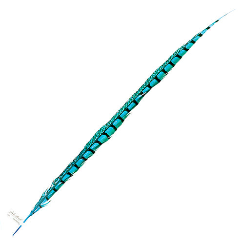 Lady Amherst Pheasant Feather Side (1pc) 
