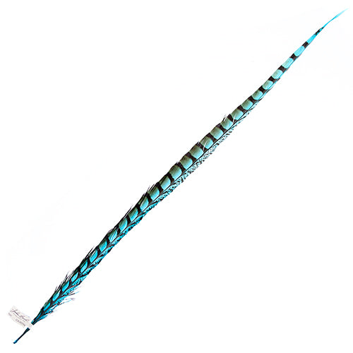 Lady Amherst Pheasant Feather Side (1pc) 