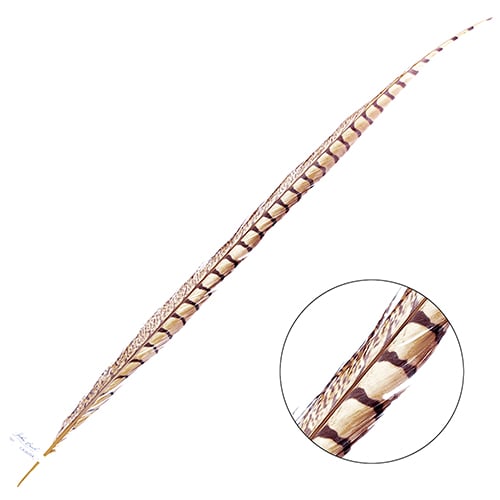 Lady Amherst Pheasant Feather Side (1pc)