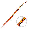 Lady Amherst Pheasant Feather Side (1pc) 