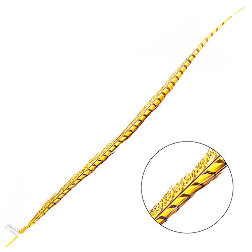 Lady Amherst Pheasant Feather Side (1pc)