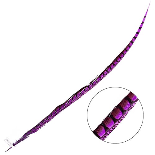 Lady Amherst Pheasant Feather Side (1pc)